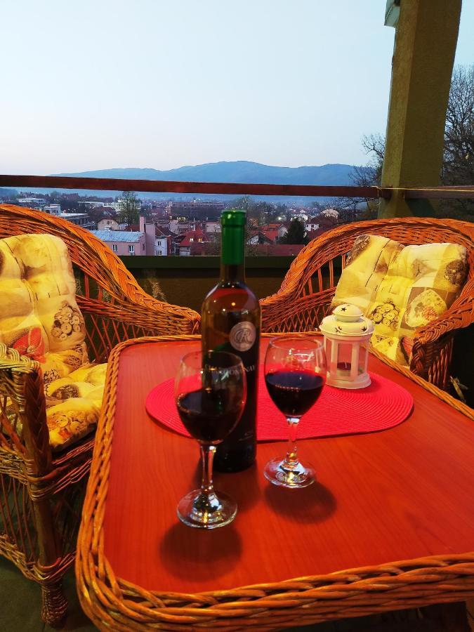 Apartman Jasmin Vrnjačka Banja Εξωτερικό φωτογραφία